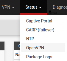 menu Status > OpenVPN