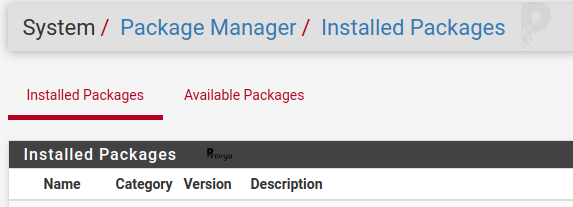 Package Manager