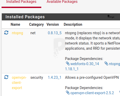 updating a package